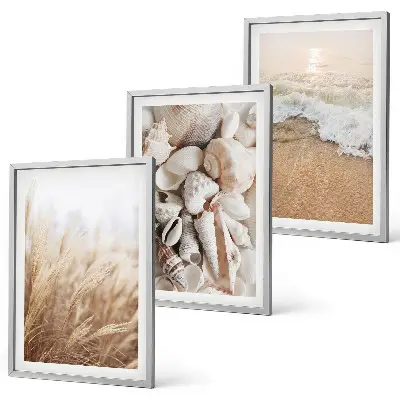 Juego de 3 cuadros con motivos de playa, conchas y olas