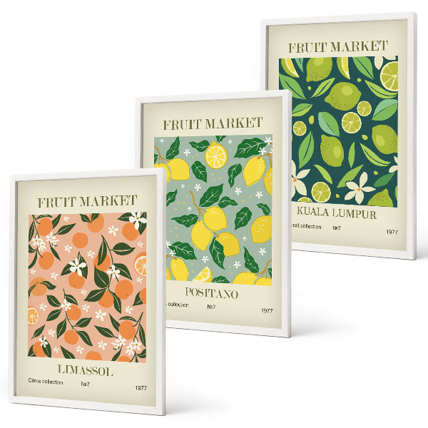 Juego de 3 cuadros Patrones florales de cítricos frutales