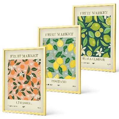 Juego de 3 cuadros Patrones florales de cítricos frutales