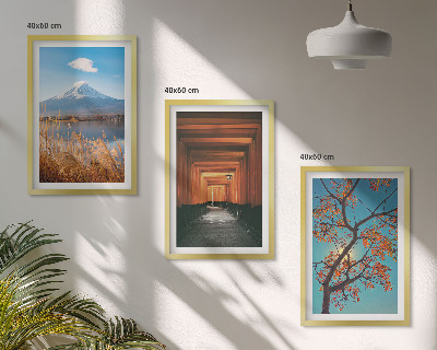 Set de 3 cuadros para salón paisajes naturales japoneses
