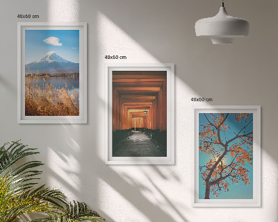 Set de 3 cuadros para salón paisajes naturales japoneses