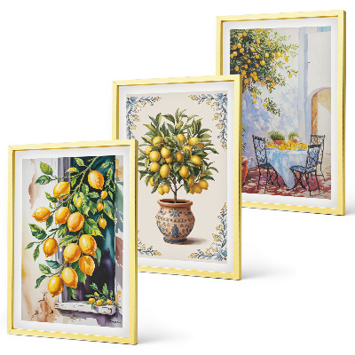 Set de 3 cuadros para salón Limoneros, frutos, sol