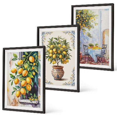 Set de 3 cuadros para salón Limoneros, frutos, sol