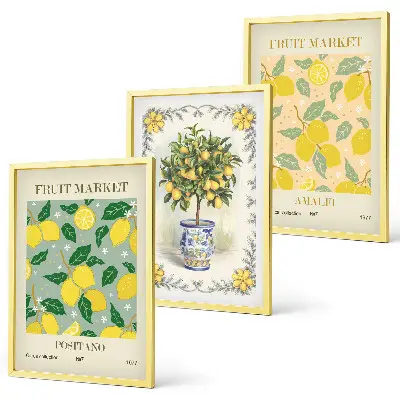 Juego de 3 cuadros con diseño de fruta del árbol cítrico Italia