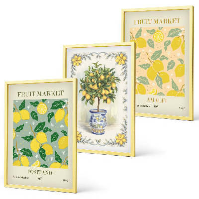 Juego de 3 cuadros Fruta del árbol cítrico Italia