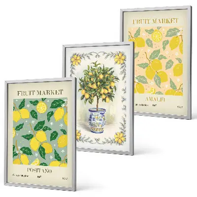 Juego de 3 cuadros con diseño de fruta del árbol cítrico Italia