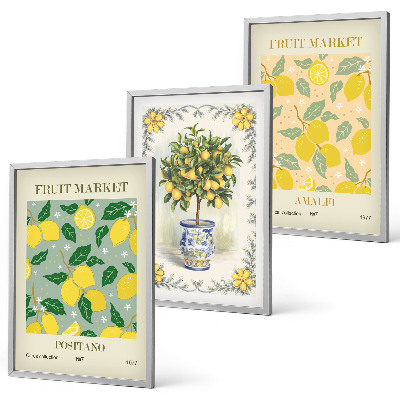 Juego de 3 cuadros Fruta del árbol cítrico Italia