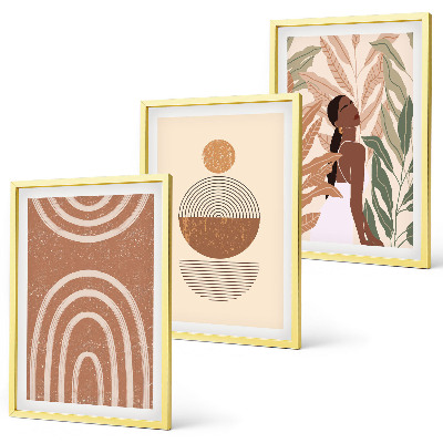 Set de 3 cuadros para salón Diseños y geometría de plantas con estilo