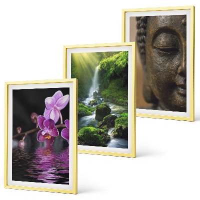 Set de 3 cuadros para salón Cascada de flores Roca de Buda Zen