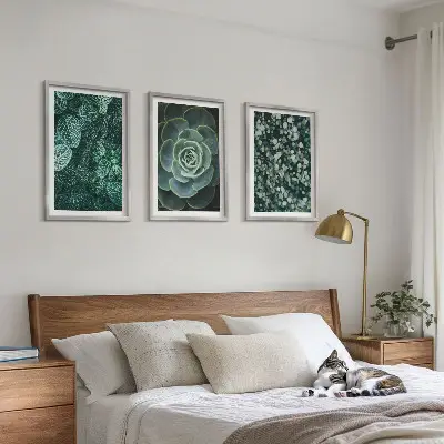 Set de 3 cuadros de suculentas para salón decoración de pared para salón
