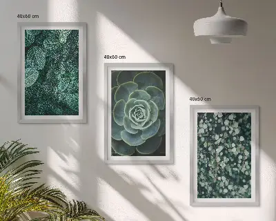 Set de 3 cuadros de suculentas para salón decoración de pared para salón