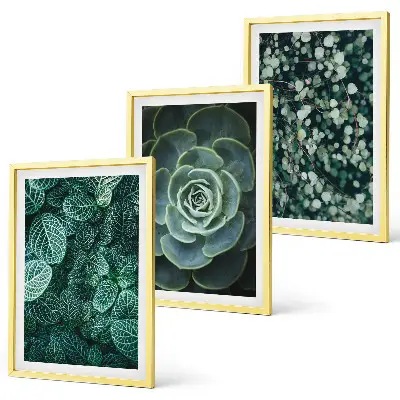 Set de 3 cuadros de suculentas para salón decoración de pared para salón
