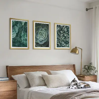 Set de 3 cuadros de suculentas para salón decoración de pared para salón