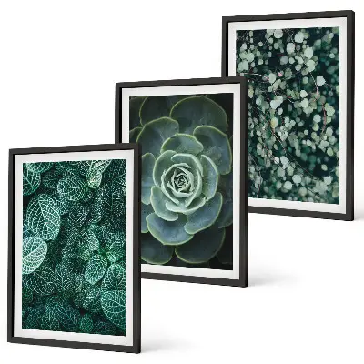Set de 3 cuadros de suculentas para salón decoración de pared para salón