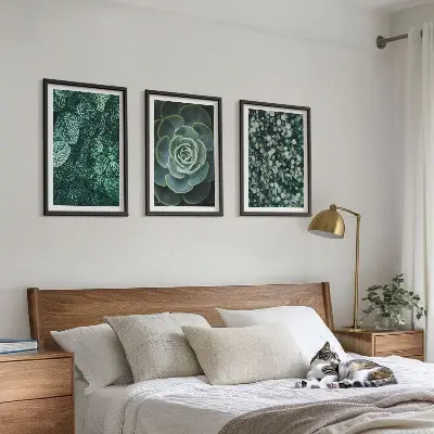 Set de 3 cuadros de suculentas para salón decoración de pared para salón