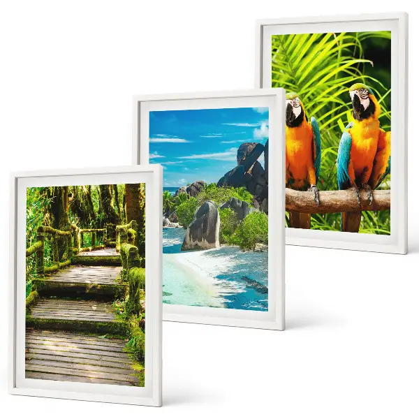 Set de 3 cuadros para salón con diseño de cascada con loros del bosque tropical