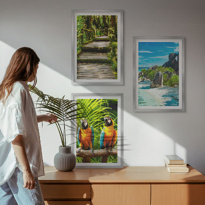 Set de 3 cuadros para salón Cascada de loros del bosque tropical