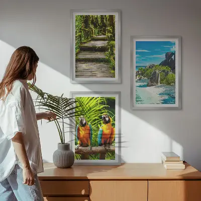 Set de 3 cuadros para salón con diseño de cascada con loros del bosque tropical