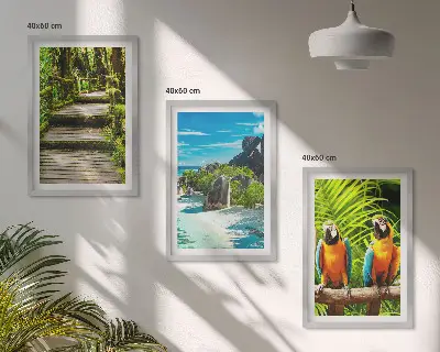 Set de 3 cuadros para salón con diseño de cascada con loros del bosque tropical