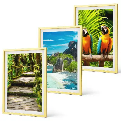 Set de 3 cuadros para salón con diseño de cascada con loros del bosque tropical
