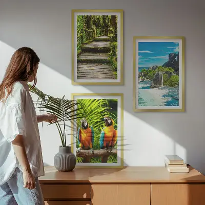 Set de 3 cuadros para salón con diseño de cascada con loros del bosque tropical