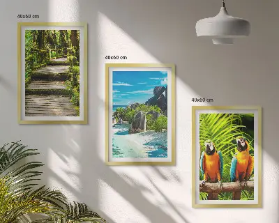 Set de 3 cuadros para salón con diseño de cascada con loros del bosque tropical