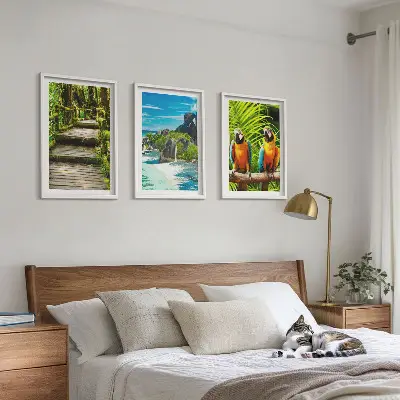 Set de 3 cuadros para salón con diseño de cascada con loros del bosque tropical
