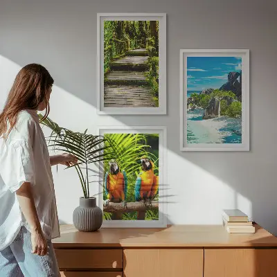 Set de 3 cuadros para salón con diseño de cascada con loros del bosque tropical