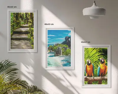Set de 3 cuadros para salón con diseño de cascada con loros del bosque tropical