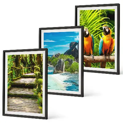 Set de 3 cuadros para salón con diseño de cascada con loros del bosque tropical