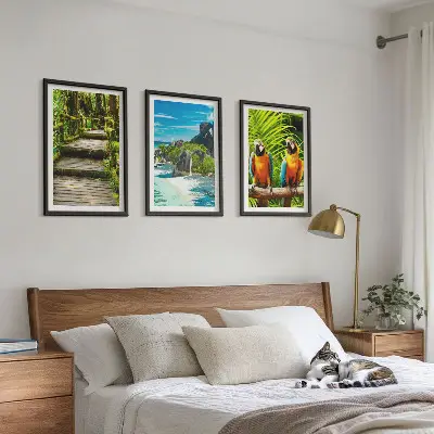 Set de 3 cuadros para salón con diseño de cascada con loros del bosque tropical