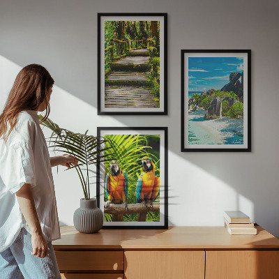 Set de 3 cuadros para salón Cascada de loros del bosque tropical
