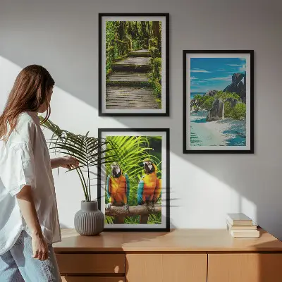 Set de 3 cuadros para salón con diseño de cascada con loros del bosque tropical