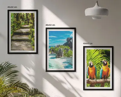Set de 3 cuadros para salón con diseño de cascada con loros del bosque tropical