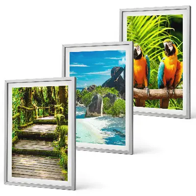 Set de 3 cuadros para salón con diseño de cascada con loros del bosque tropical