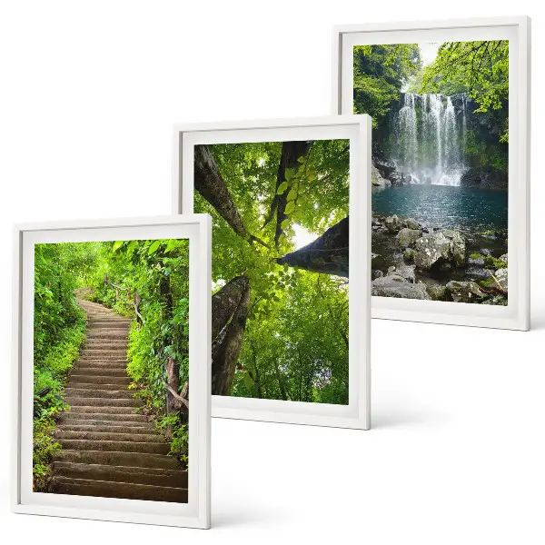 Juego de 3 cuadros con diseño de sendero en un bosque con cascada y vegetación