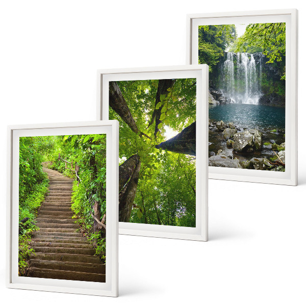 Juego de 3 cuadros Sendero, bosque, cascada, vegetación