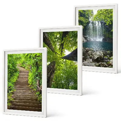 Juego de 3 cuadros con diseño de sendero en un bosque con cascada y vegetación