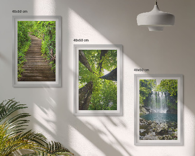Juego de 3 cuadros Sendero, bosque, cascada, vegetación