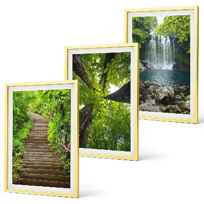 Juego de 3 cuadros con diseño de sendero en un bosque con cascada y vegetación