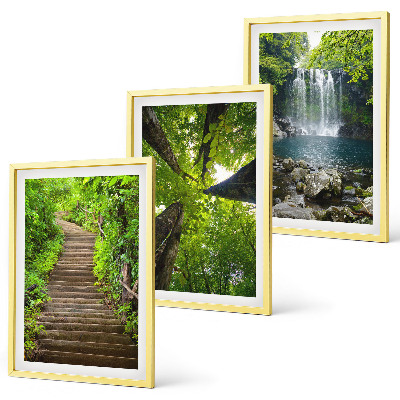 Juego de 3 cuadros Sendero, bosque, cascada, vegetación