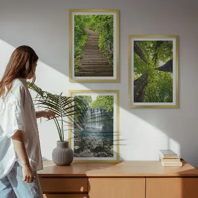 Juego de 3 cuadros con diseño de sendero en un bosque con cascada y vegetación