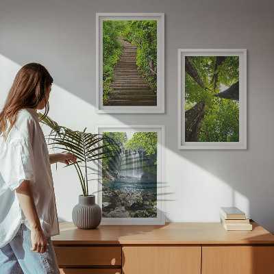 Juego de 3 cuadros Sendero, bosque, cascada, vegetación