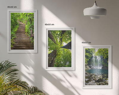 Juego de 3 cuadros Sendero, bosque, cascada, vegetación