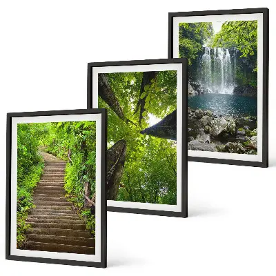Juego de 3 cuadros con diseño de sendero en un bosque con cascada y vegetación