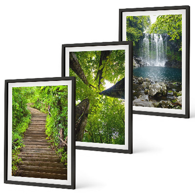 Juego de 3 cuadros Sendero, bosque, cascada, vegetación