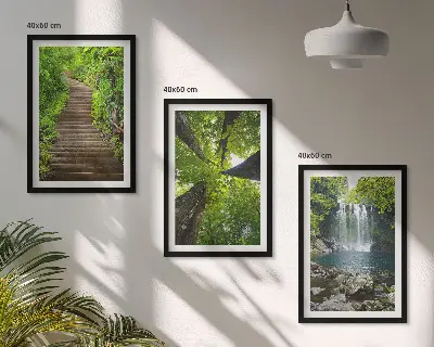 Juego de 3 cuadros con diseño de sendero en un bosque con cascada y vegetación