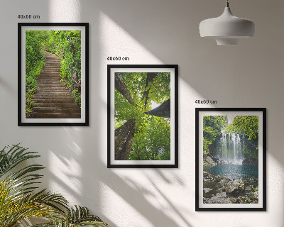 Juego de 3 cuadros Sendero, bosque, cascada, vegetación