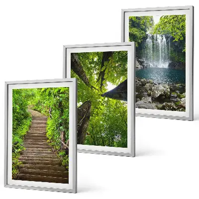 Juego de 3 cuadros con diseño de sendero en un bosque con cascada y vegetación
