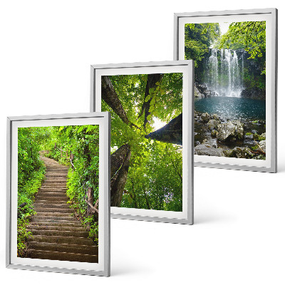 Juego de 3 cuadros Sendero, bosque, cascada, vegetación